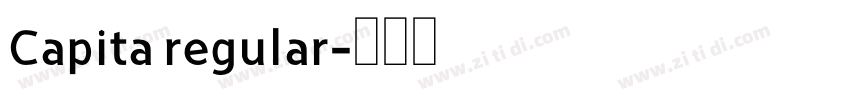 Capita regular字体转换